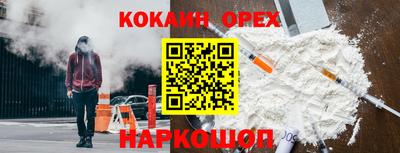 прущие грибы Новокубанск