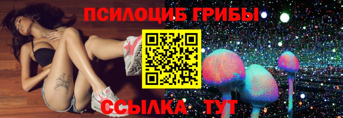 Галлюциногенные грибы Psilocybe Зима