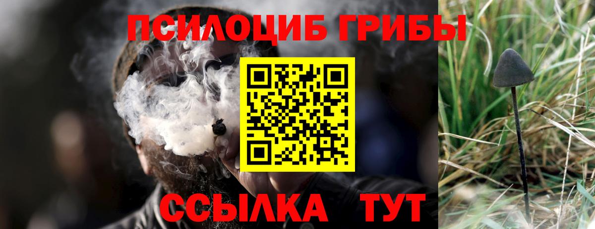 Зима  Псилоцибиновые грибы ЛСД  Вход с VPN 