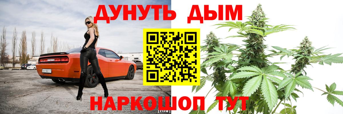 Шишки марихуана план Зима
